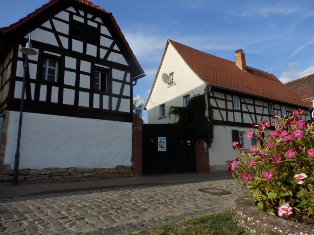 Ferienwohnung Erlebnishof GRÜNE KUH Elsteraue Exterior foto