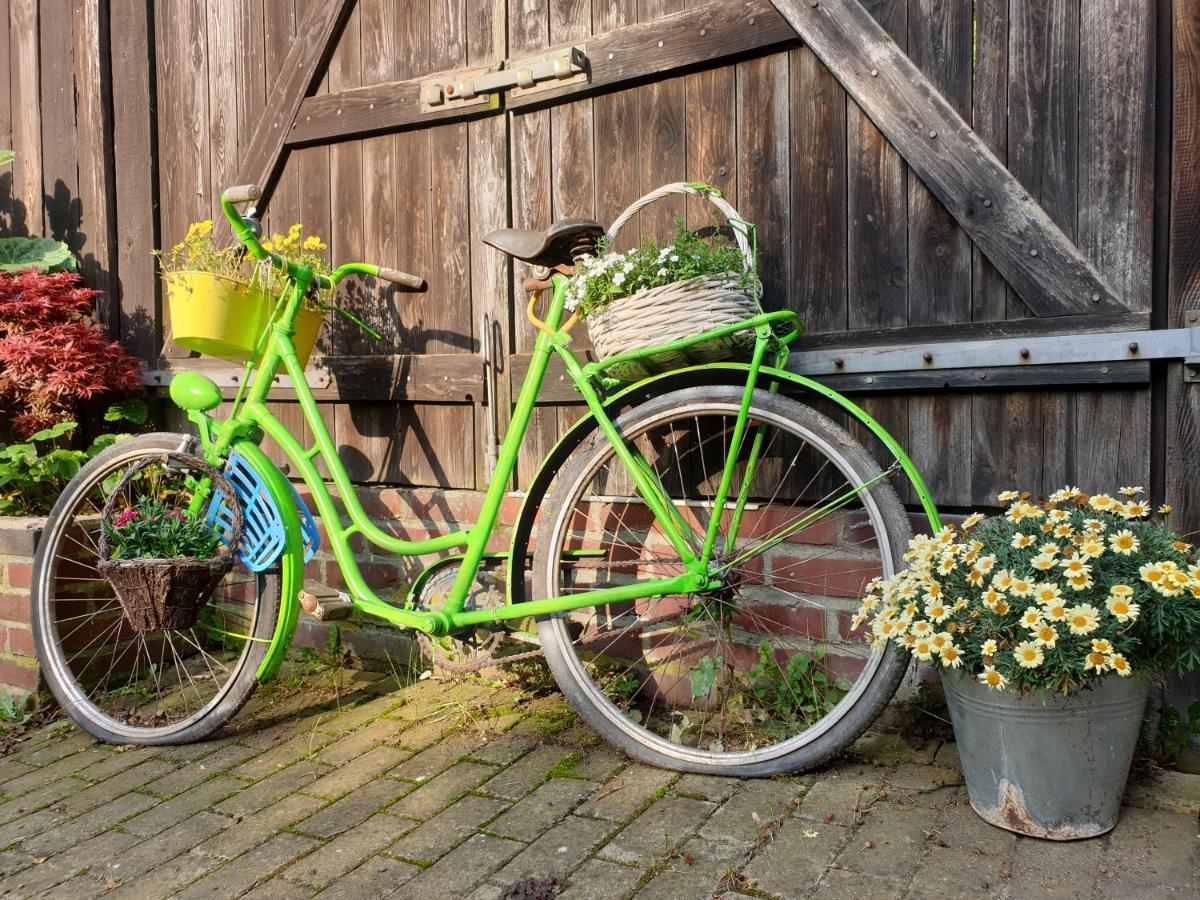 Ferienwohnung Erlebnishof GRÜNE KUH Elsteraue Exterior foto