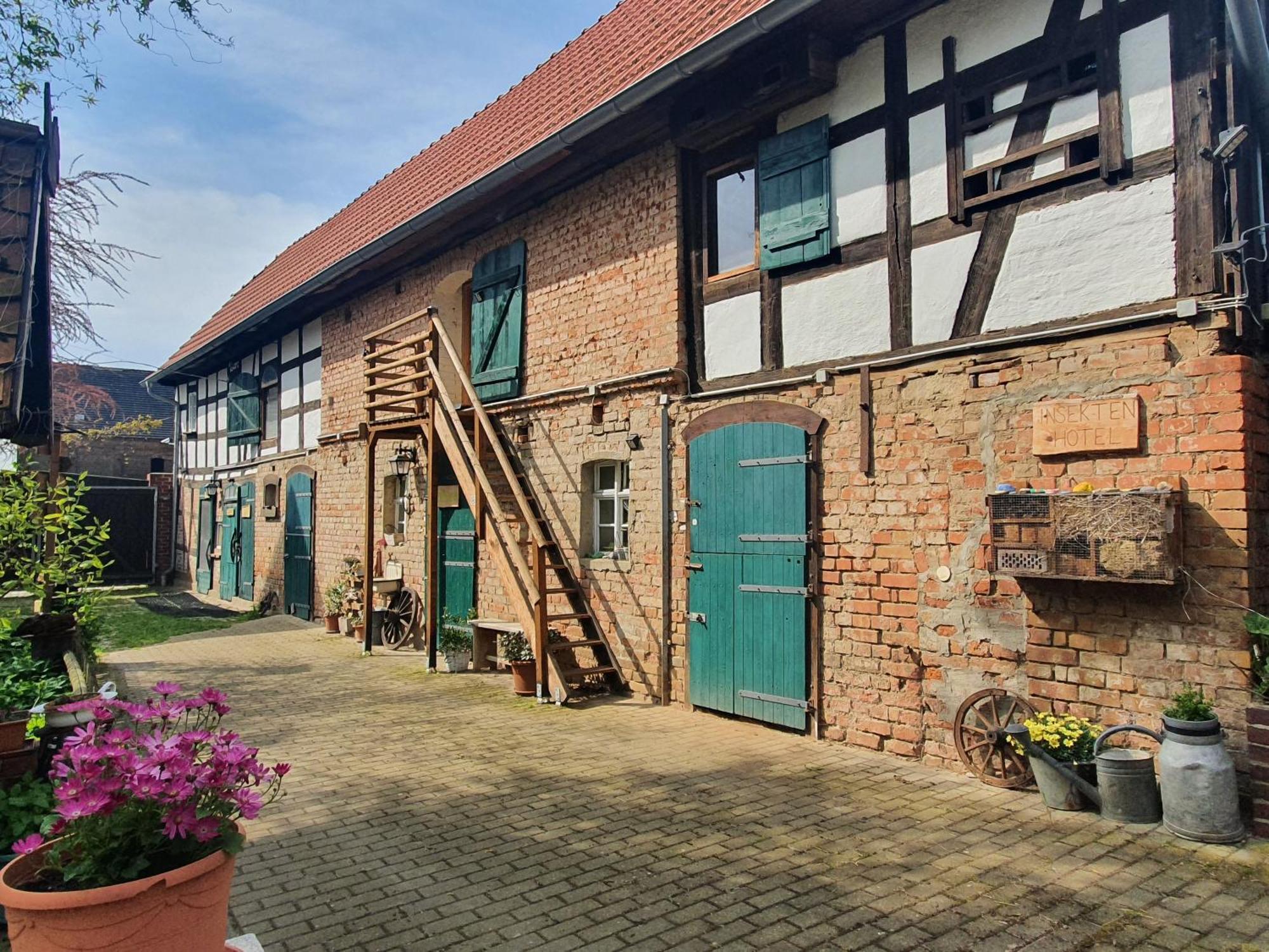 Ferienwohnung Erlebnishof GRÜNE KUH Elsteraue Exterior foto