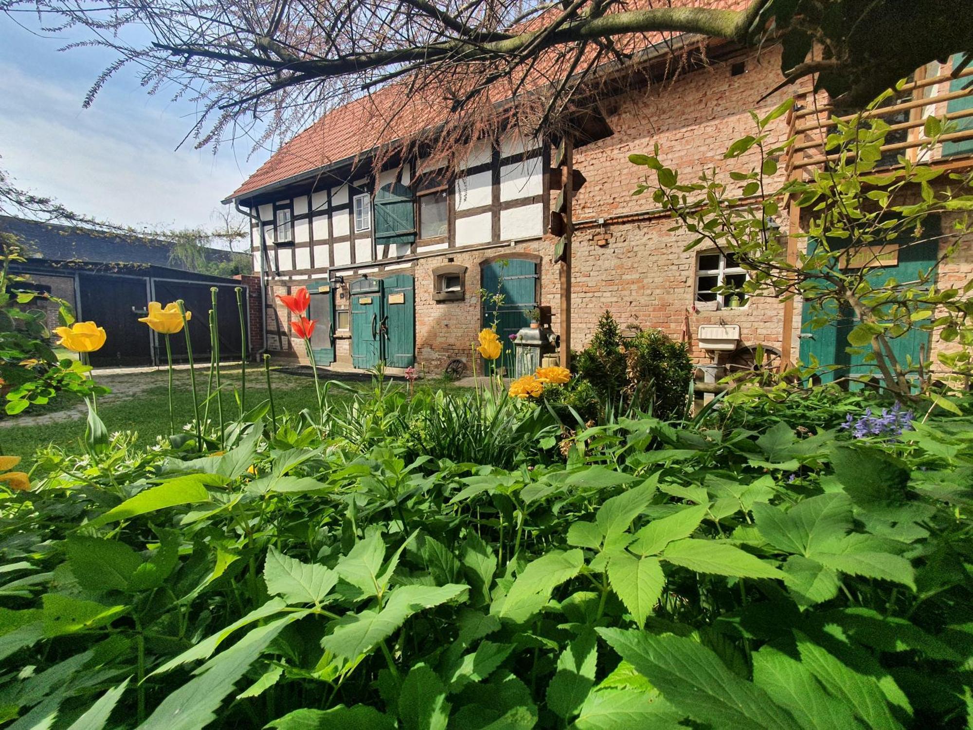 Ferienwohnung Erlebnishof GRÜNE KUH Elsteraue Exterior foto