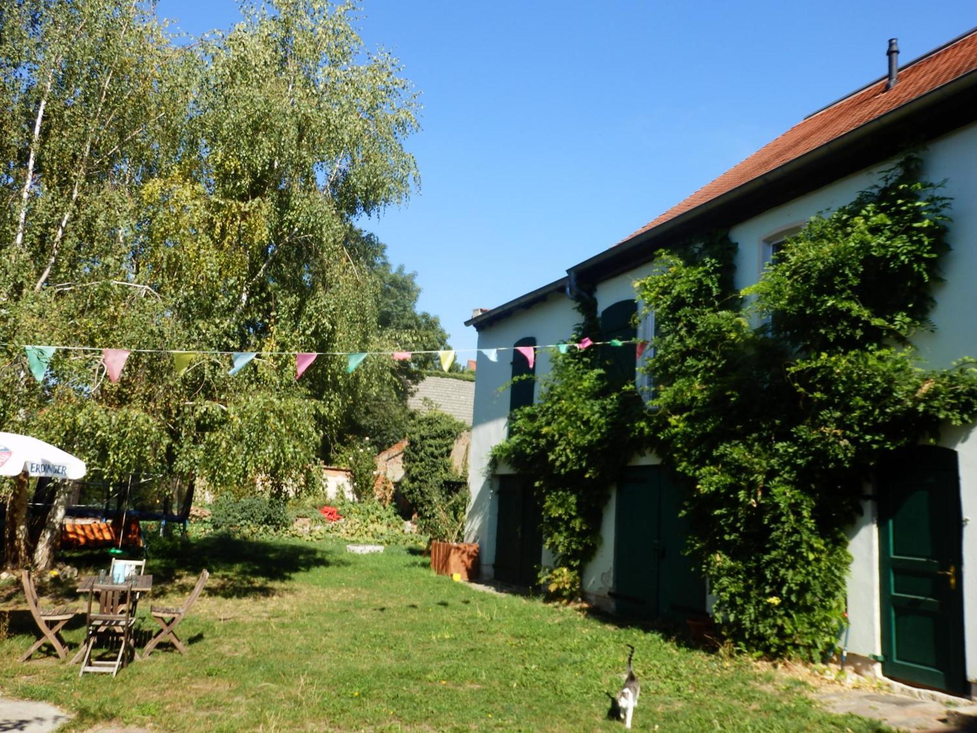 Ferienwohnung Erlebnishof GRÜNE KUH Elsteraue Exterior foto